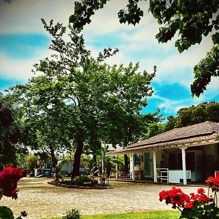 Campsite Pitsoni