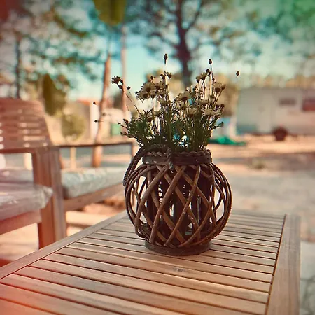 Pitsoni Campsite Sykia Chalkidikis
