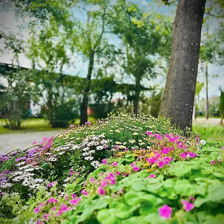 Pitsoni Sykia Chalkidikis