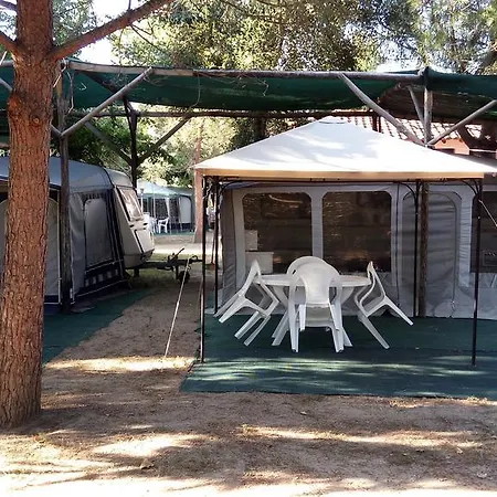 Pitsoni Campsite Sykia Chalkidikis