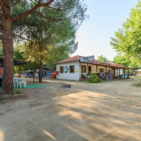 Campsite Pitsoni Sykia Chalkidikis