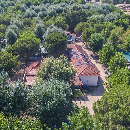 Campsite Pitsoni Sykia Chalkidikis