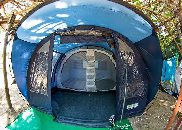 Pitsoni Sykia Chalkidikis