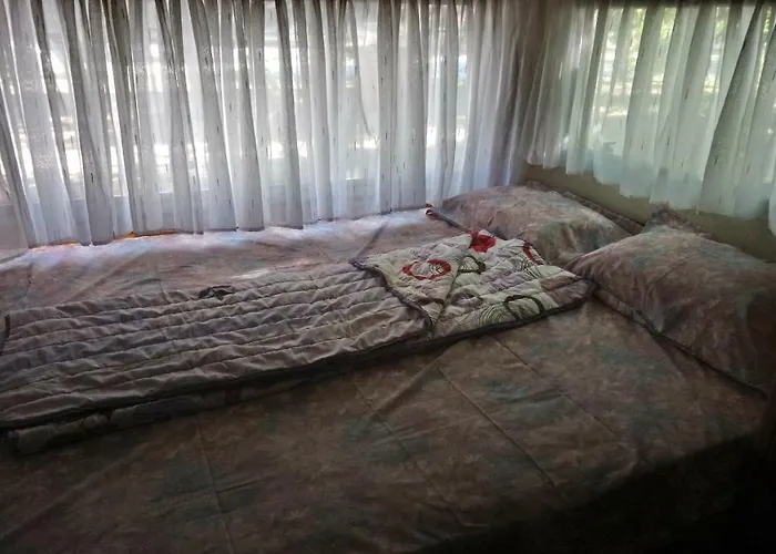 Pitsoni Camping Sykia Chalkidikis