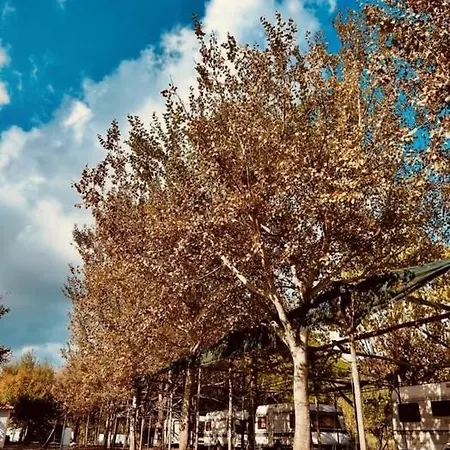 Pitsoni Kamp alanı