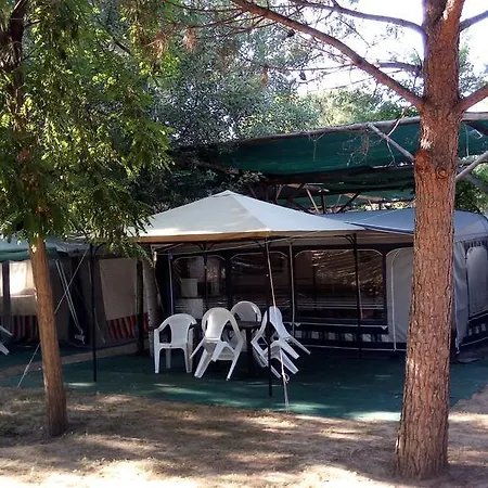 Pitsoni Sykia Chalkidikis