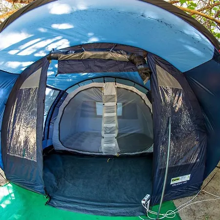 Pitsoni Sykia Chalkidikis