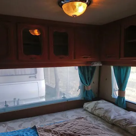 Pitsoni Sykia Chalkidikis