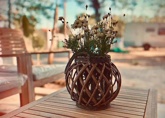 Pitsoni Camping Sykia Chalkidikis