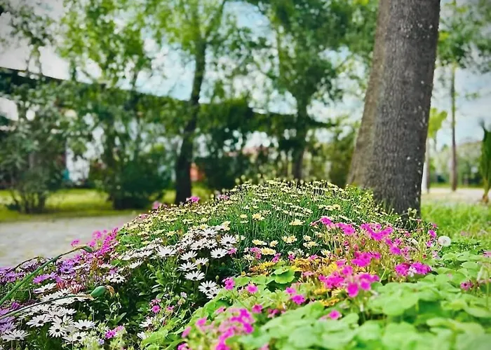 Pitsoni Sykia Chalkidikis