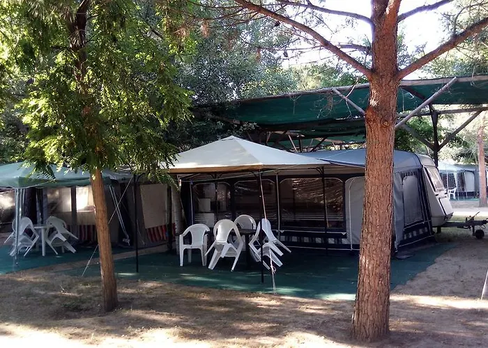 Pitsoni Sykia Chalkidikis