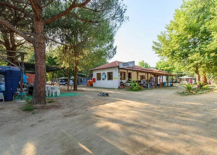 Camping Pitsoni Sykia Chalkidikis